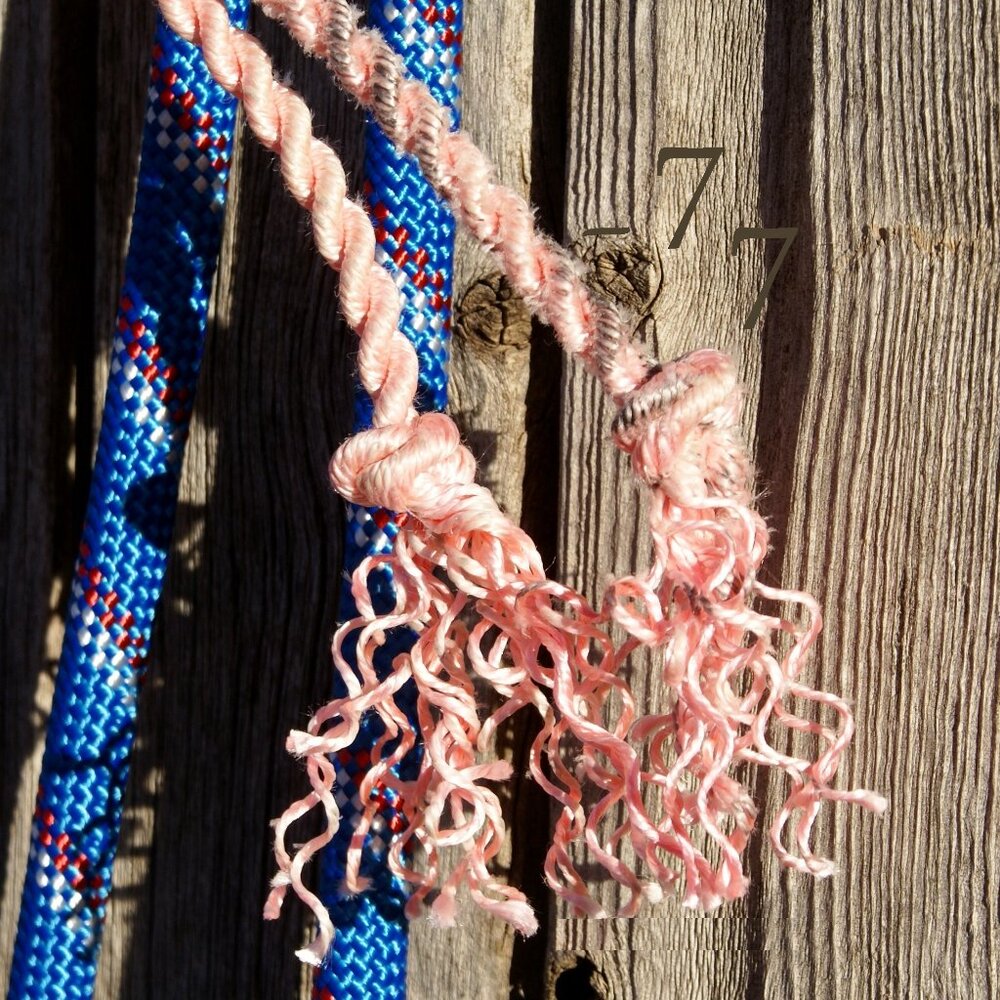 NEW Handmade Fully Rigged Lariat Rope Loping Halter Hackamore - Arab/Cob Size - Picture 8 of 9
